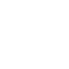 SteelP.png